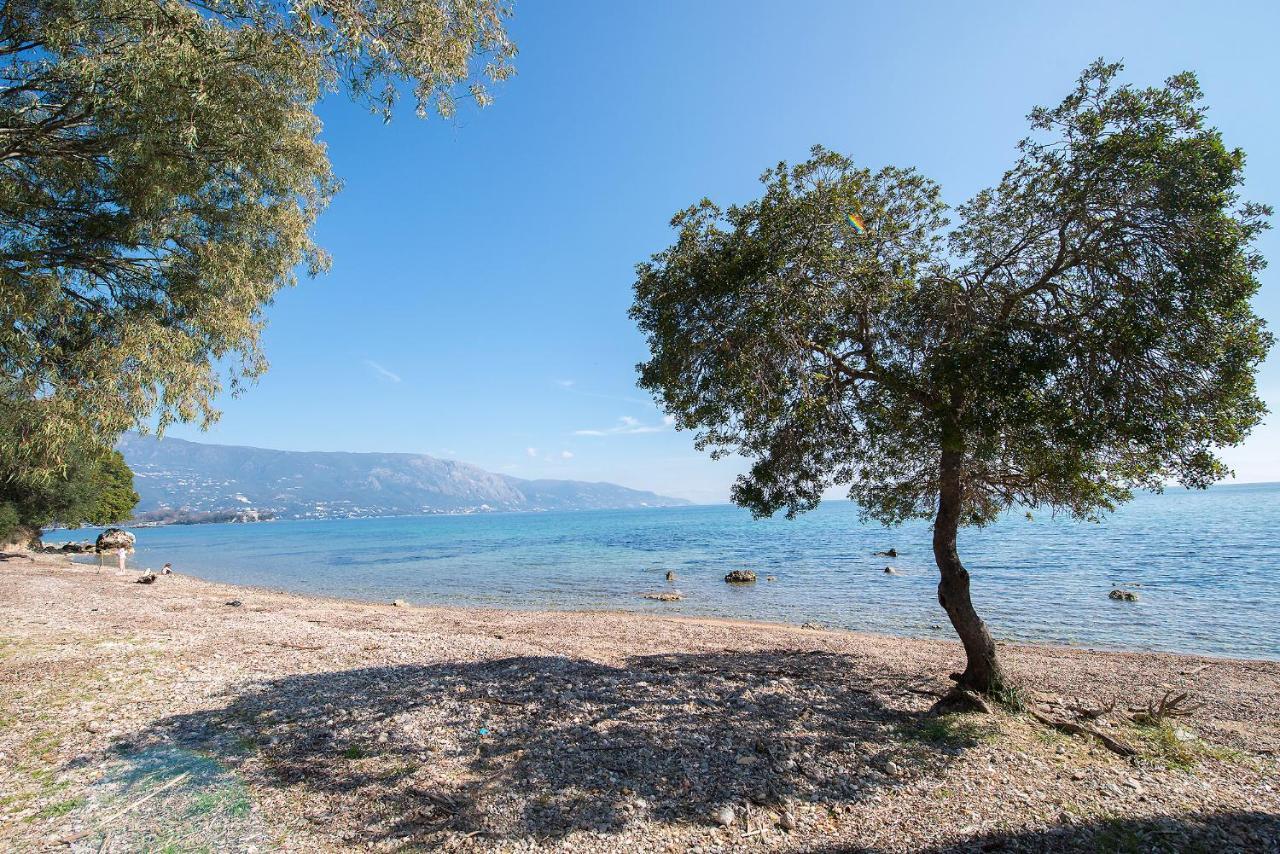 Spyrelia Villa With Private Pool & Outdoor Hot Tub Dassia  Esterno foto